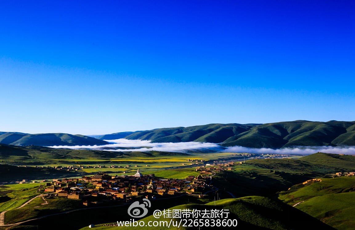 阿坝_2025年澳门今晚必开一肖一特,伪诈分屏精选解析、解释与落实